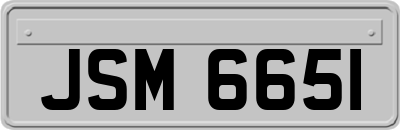 JSM6651