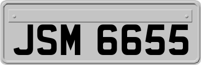 JSM6655