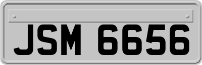 JSM6656