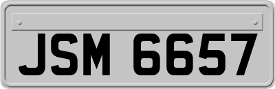 JSM6657