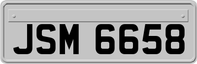 JSM6658