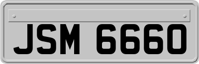 JSM6660