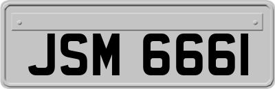 JSM6661