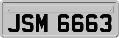 JSM6663