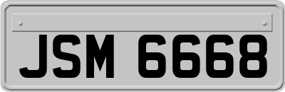 JSM6668