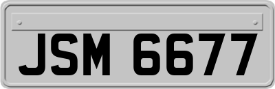 JSM6677