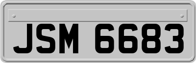 JSM6683