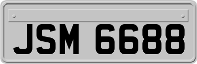 JSM6688