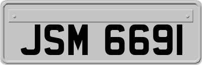 JSM6691