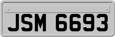 JSM6693