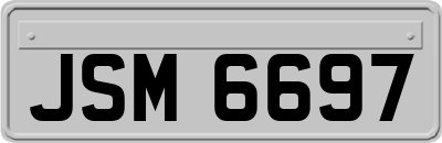 JSM6697