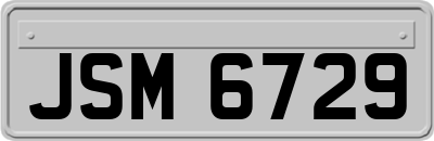 JSM6729