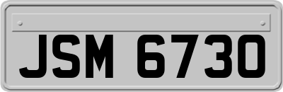 JSM6730