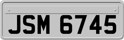 JSM6745