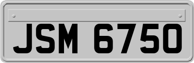 JSM6750