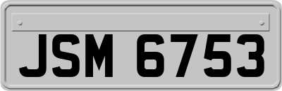 JSM6753