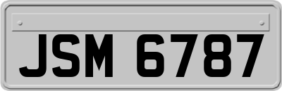 JSM6787