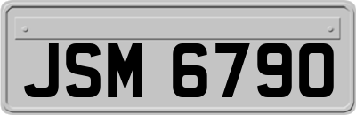 JSM6790