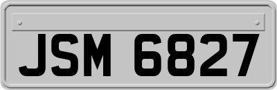 JSM6827