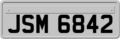 JSM6842