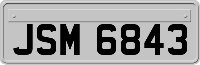 JSM6843