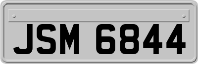JSM6844