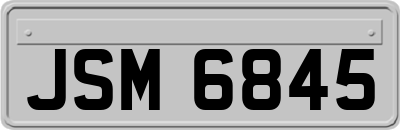 JSM6845