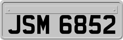 JSM6852