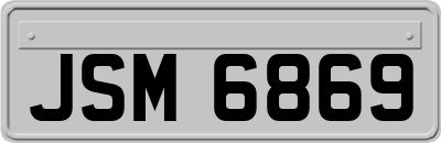 JSM6869