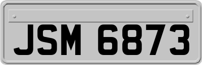 JSM6873