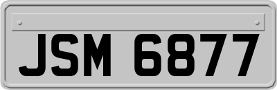 JSM6877