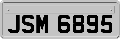 JSM6895