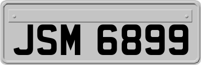 JSM6899