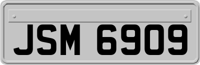 JSM6909