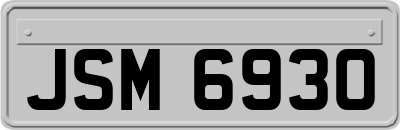 JSM6930