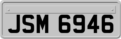 JSM6946