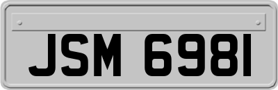 JSM6981