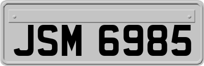 JSM6985