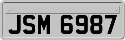 JSM6987