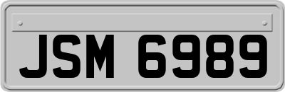 JSM6989