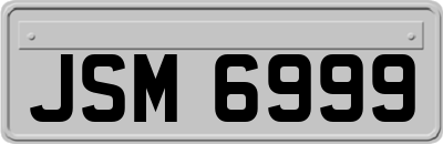 JSM6999