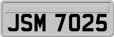 JSM7025