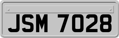 JSM7028