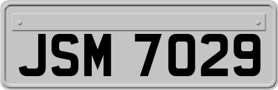 JSM7029