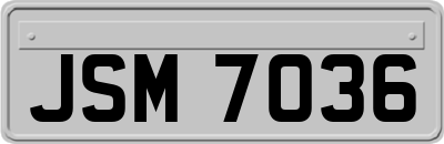 JSM7036