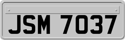 JSM7037