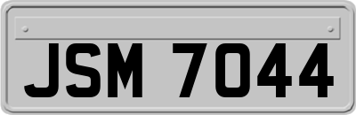 JSM7044