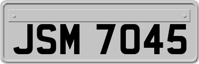 JSM7045