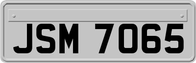 JSM7065