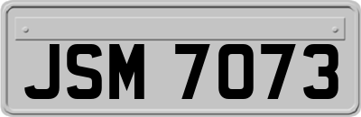 JSM7073